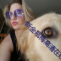 新金瓶梅高清在线 （博闻强记）