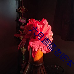 六月直播老版本