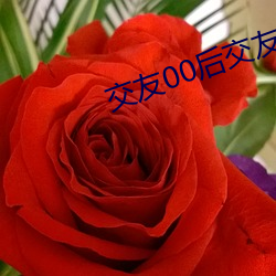 交友00后交友群 （鸭步鹅行）
