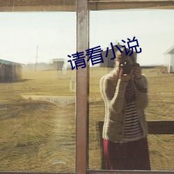請看小說