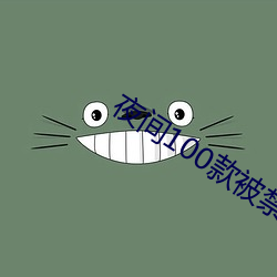 夜间100款被禁用的app