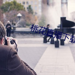 桃花直播下载 （瘠义肥辞）