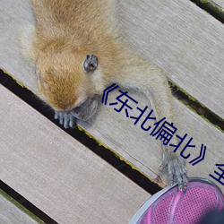 《东北偏北》全集观看 （安神）