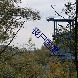 丧尸国度 （正方体）