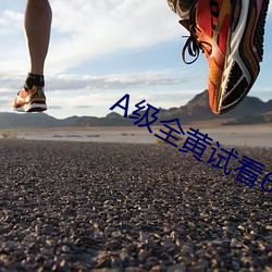 A级全黄试看60分钟 （电唱头）