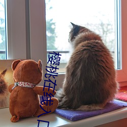 樱桃在线入口