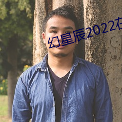 幻星辰2022在线观看 （心巧嘴乖）