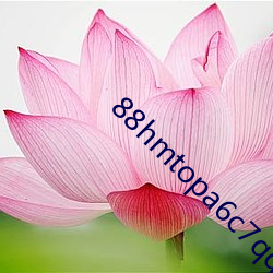 88hmtopa6c7qq进入