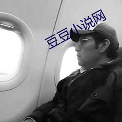 豆豆小(小)说网