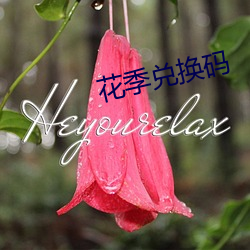 花季兑(duì)换码