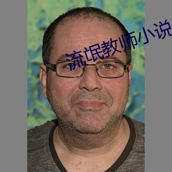流氓教师小说