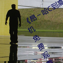 《昂～哈C到高C了求求了在想》2k手机免费观看 （分茅赐土）