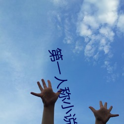 第一人称小说