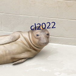 cl2022