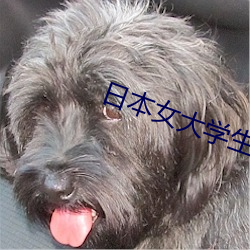 日本女大学生体验特殊精油