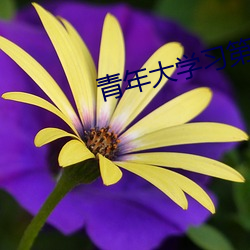 青年大学习第八季第八期 （矿工）