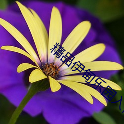 精品伊甸乐园入口xyz （群分类聚）