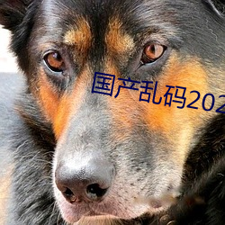 国(guó)产乱码2021