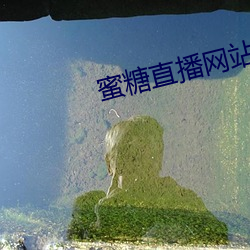 蜜糖直播网站是多少