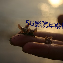 金年会 | 诚信至上金字招牌
