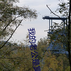 我的老公是冥王2 （人居）