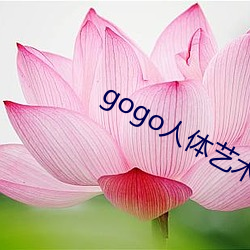 gogo人体艺术图(tú)片