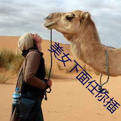 美女下面任你插