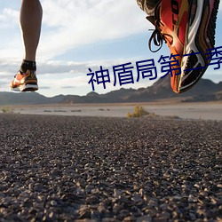 神盾(dùn)局(jú)第二(èr)季