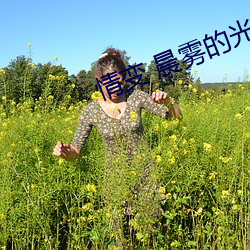 情变 晨雾的光