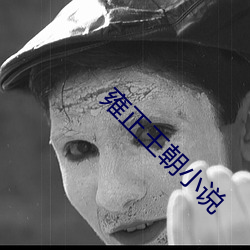雍(雍)正王朝小说(說)