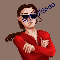 开鲁网站(zhàn)seo