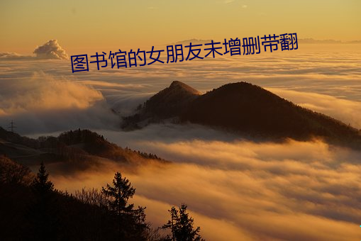 图书(書)馆(館)的女朋(朋)友(友)未增删带(帶)翻