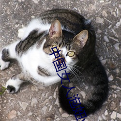 中國女人泡妞www