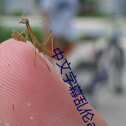 金年会 | 诚信至上金字招牌