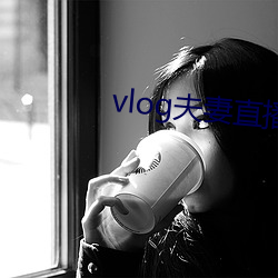 vlog夫妻直(直)播(播)