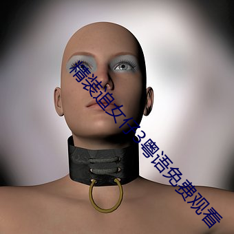 精裝追女仔3粵語免費觀看