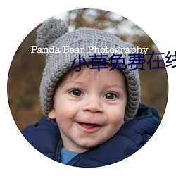 小草免費在線入口2021