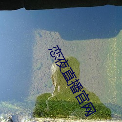 恋夜直播(播)官网(網)