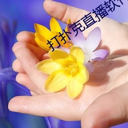 凯时|AG(AsiaGaming)优质运营商