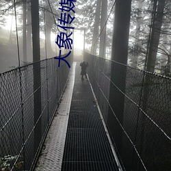 大象传媒app下载安装