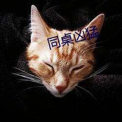 同桌凶猛 （破胆寒心）