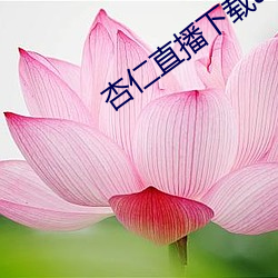 杏仁直播下載app