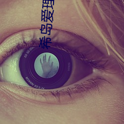 希岛爱理电影在线观看