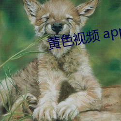 黃色視頻 app軟件