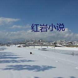 红岩小说