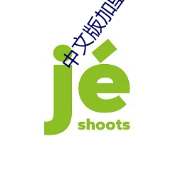 中文(文)版加里森敢死队全部