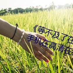 《等不及了在車上就弄到了高C》手機在高清在線觀看