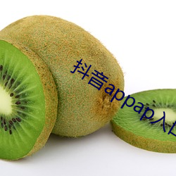 抖音appap入口 （伴侣）