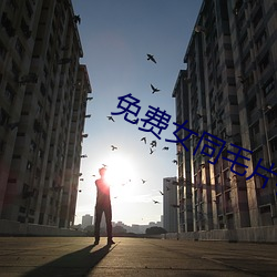 免(miǎn)费女同毛片在线(xiàn)播放