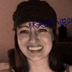 林天的小说叫什么